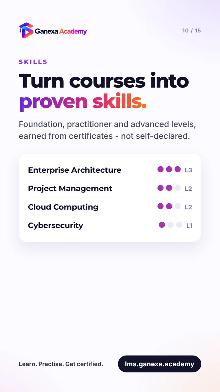 Skills: foundation, practitioner and advanced levels earned from certificates